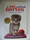 a cat called norton